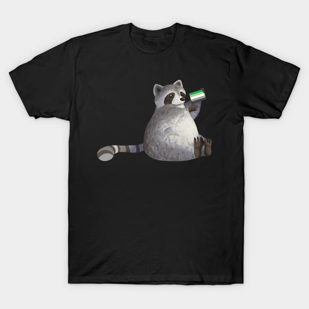 Aromantic Pride Raccoon T-Shirt by celestialuka